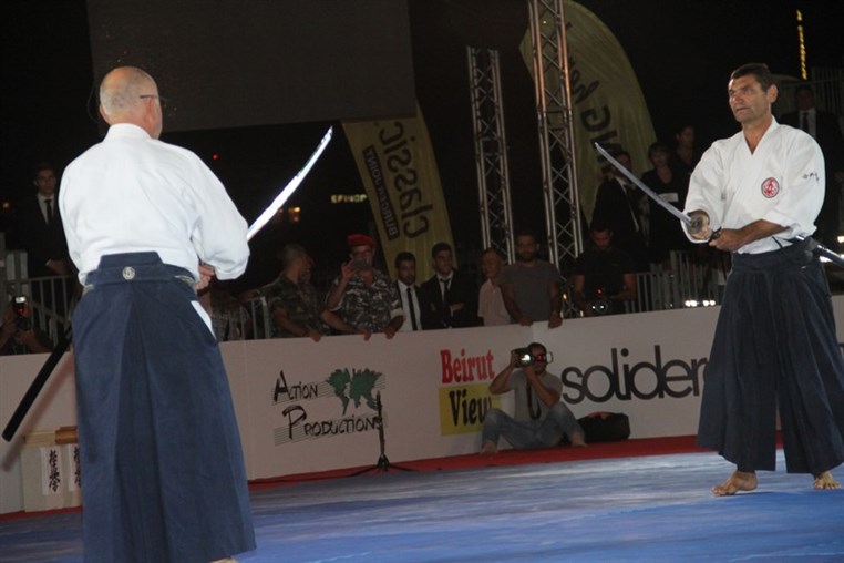 Martial Arts Festival